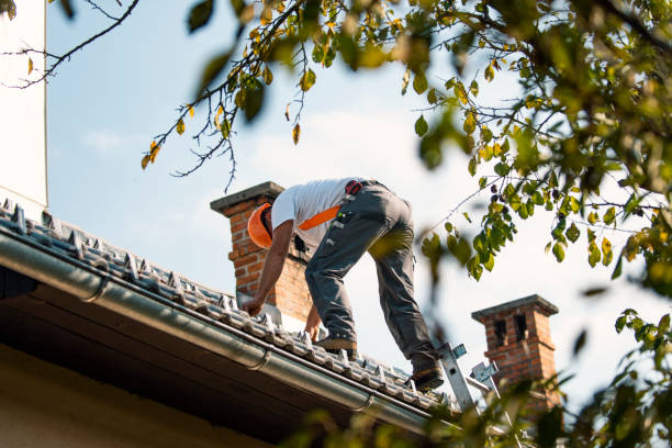 Best Flat Roof Repair Services  in Rosedale, WA