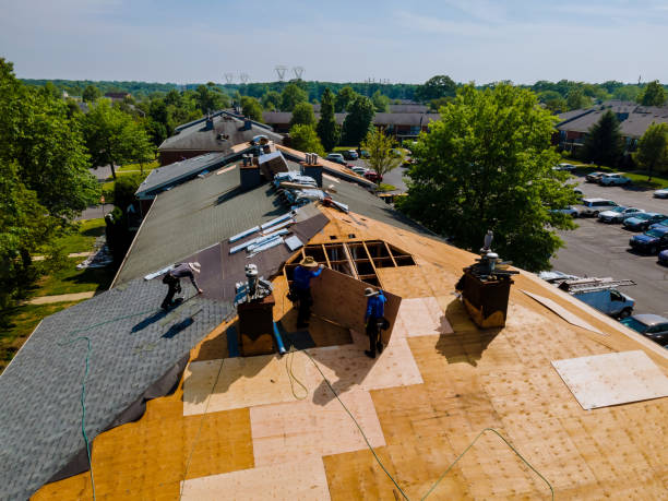 Best Roof Repair Specialists  in Rosedale, WA